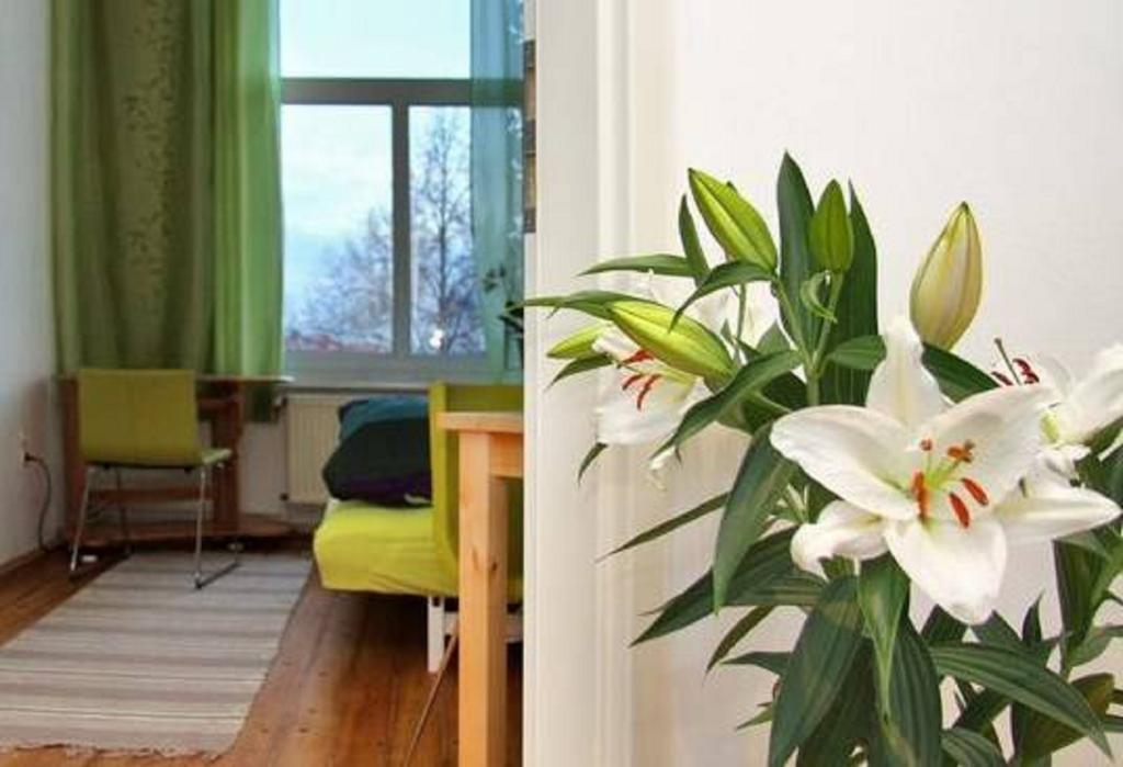 Private Gastezimmer Bei Ila Zimmerling Dresden Værelse billede